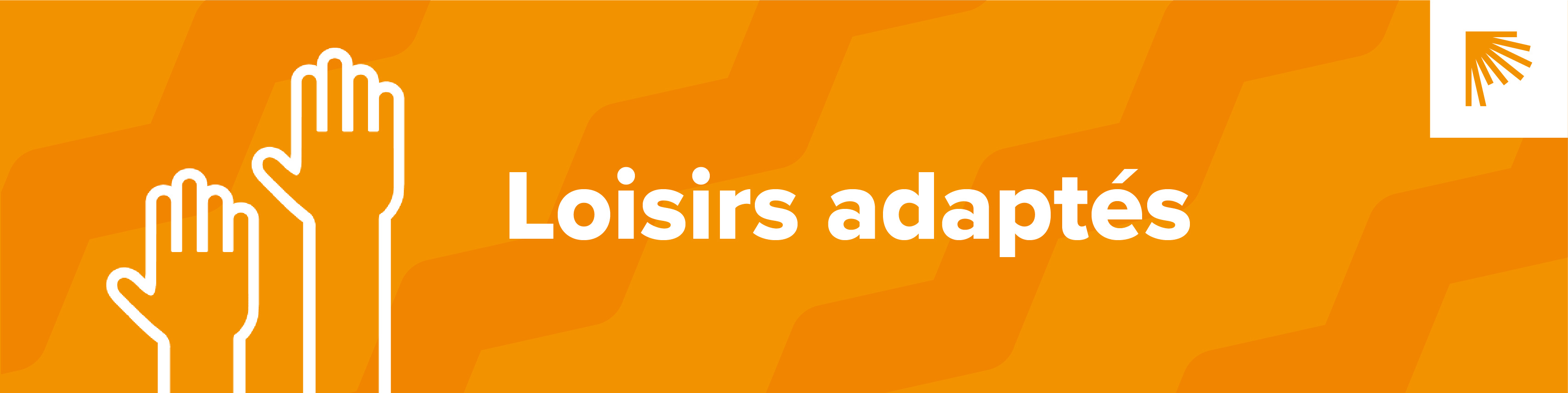 Qidigo — Patro de Lévis — Atelier adapté