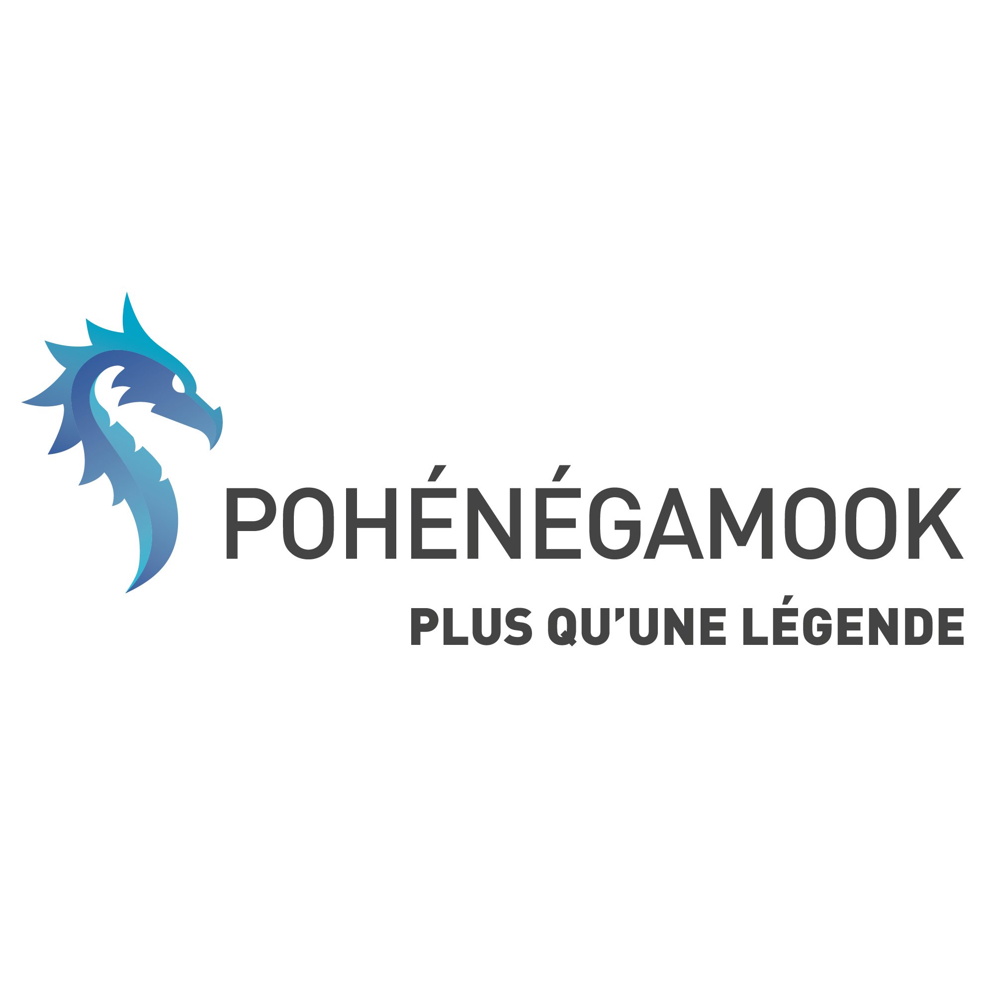 Logo pour l'organisme Ville de Pohénégamook Logo pour l'organisme Ville de Pohénégamook