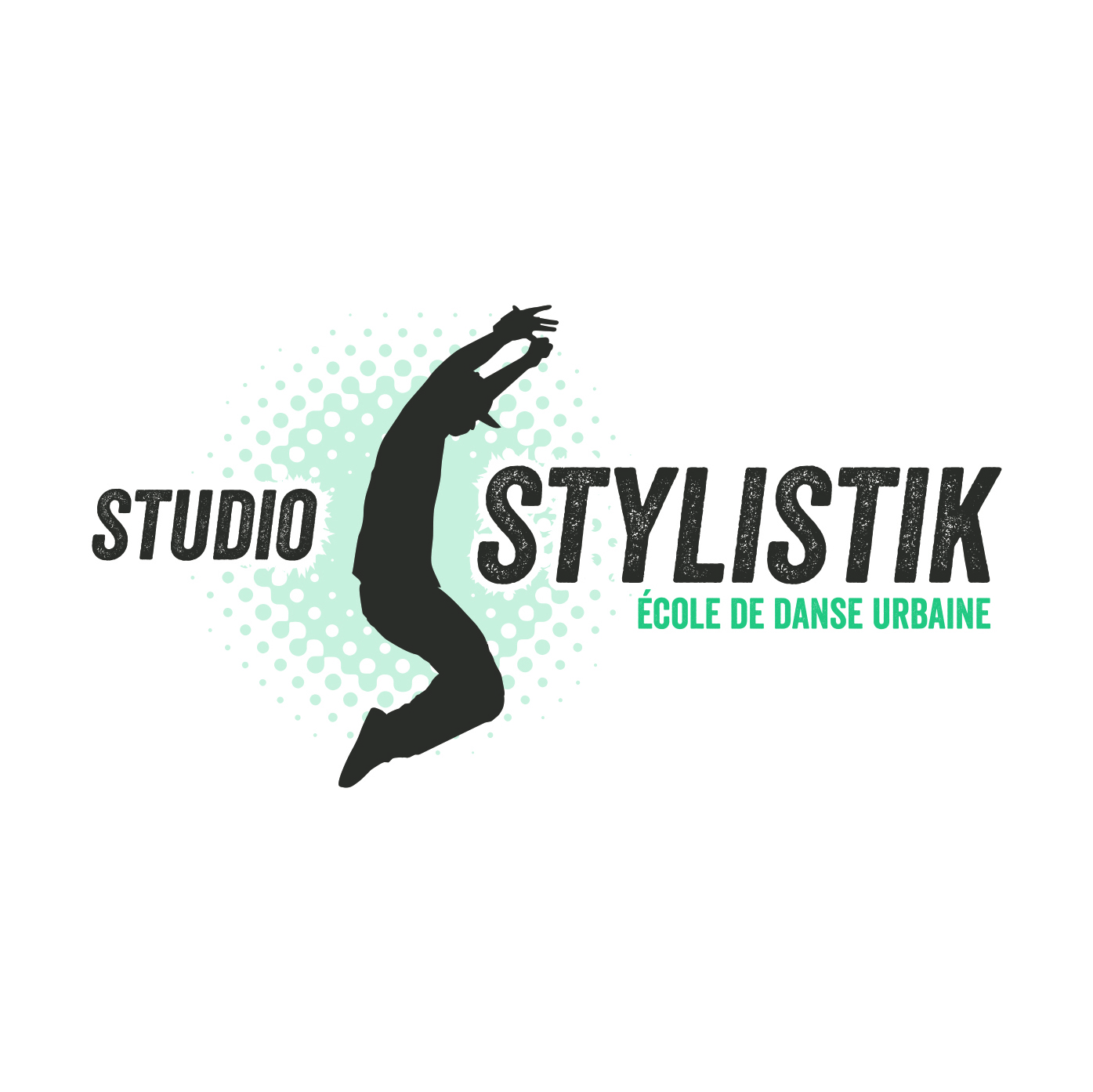 Logo pour l'organisme Studio Stylistik Logo pour l'organisme Studio Stylistik